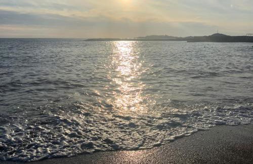 STUDIO PRADO PLAGE PISCINE TERRASSE - Foto 44