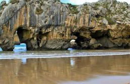 Apartamentos - El Bosquin - Foto 77