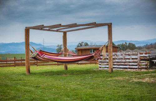 Agroturystyka Nad Łąkami - Foto 6