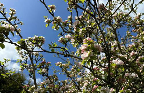 Summerfields Lodge - Photo 10