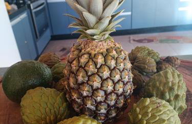 Sítio Bela Vista - Photo 21