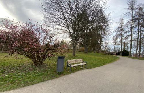 Voll ausgestattete 3 Zimmer Wohnung mit 2 Schlafzimmer - Foto 50