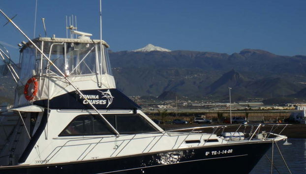 Las Galletas Boat Hire with a Skipper - Foto 2