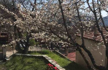 ΕΞΟΧΙΚΗ ΚΑΤΟΙΚΙΑ ΕΥΑΓΓΕΛΙΑ - Foto 20