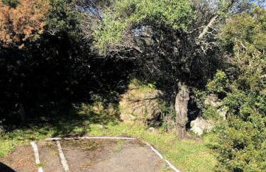 Il nido di Luca a Porto Rotondo - Photo 19