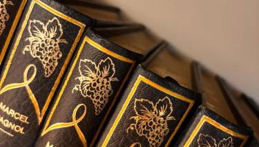 Le Clair-Obscur - Photo 3