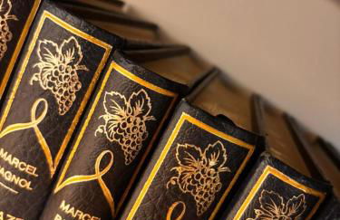 Le Clair-Obscur - Photo 3