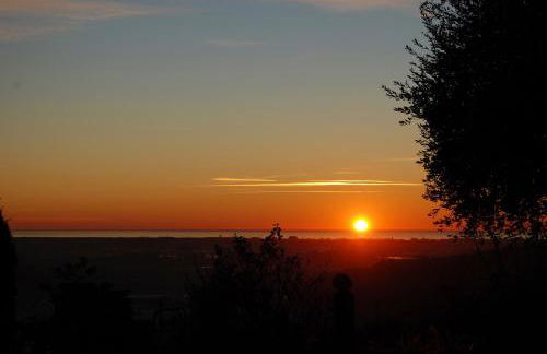 Azienda agricola Della Mezzaluna - Foto 52