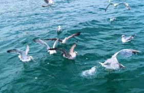 Jacona 365 - Foto 67