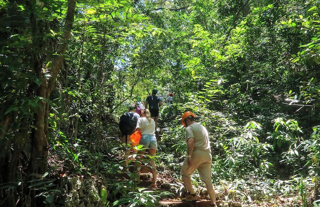 Kibayo Cabarete - Photo 54