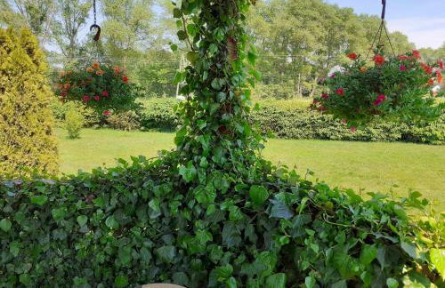 Agroturystyka u Janeckich - Foto 8