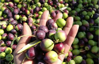 Roberto Apartment - Foto 22