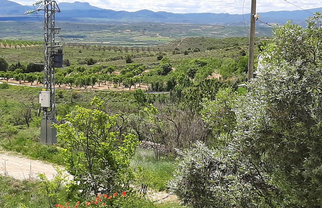 Casa Rural Garnacha de Borja has a Barbacue and Terrace - Foto 59