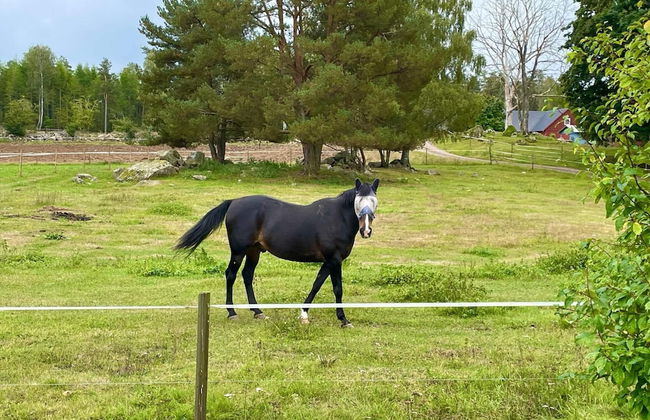 3 Person Holiday Home in Berga-by Traum - Foto 37