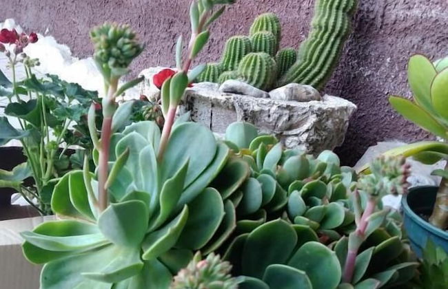 Agriturismo Villa delle Acacie - Foto 42