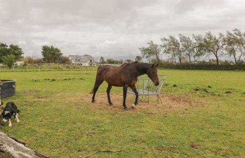 Bron Gadair - Foto 20