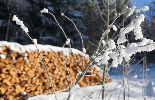 Hus im Schwefelmättle, Hinterzarten - Foto 20