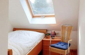 Sonnenblume - a74325 - Foto 4