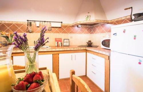 Casa Mi Tio Perico - Foto 42