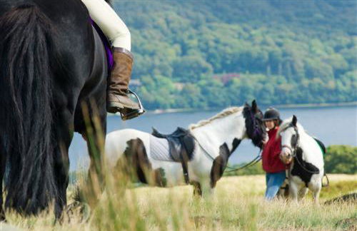 Pheasant Lodge Scottish Borders - Foto 52