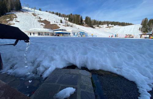 Piccolo Nido Falcade - Foto 52