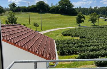 Apartment Schendel - Foto 19