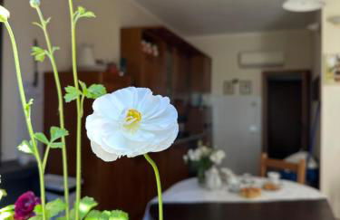 Podere Quercia al Santo - Foto 13