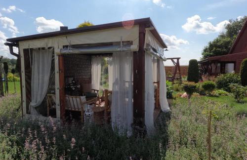 Liwa Garden Krzywa 11 - Foto 60