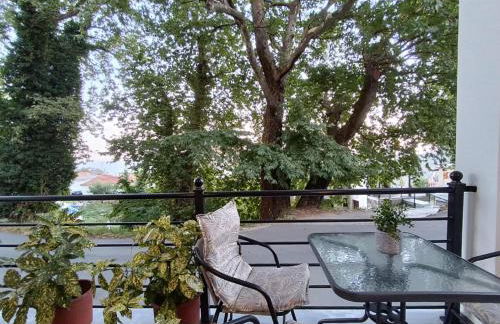 Isidora Apartments - Foto 41