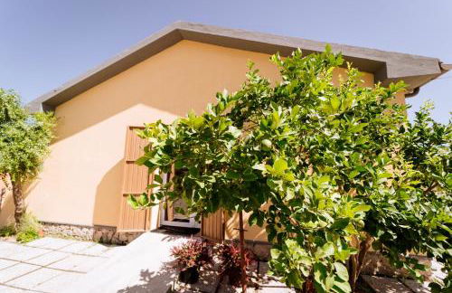 Villa Podere 109 - BioWine - Foto 4