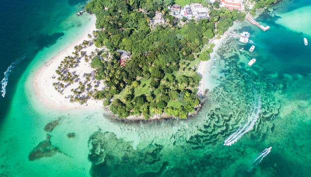 Avistamiento de ballenas + Cayo Levantado - Foto 4