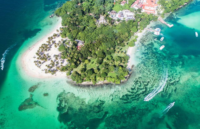 Avistamiento de ballenas + Cayo Levantado - Foto 4