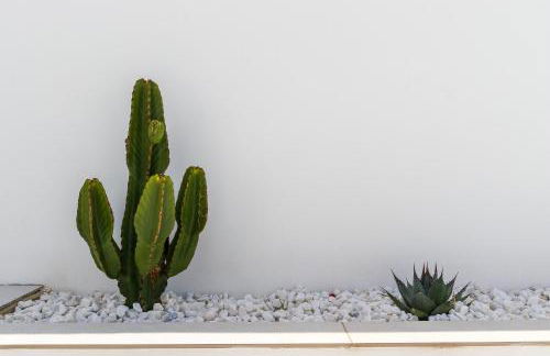 TESS Villa Monica - Photo 47