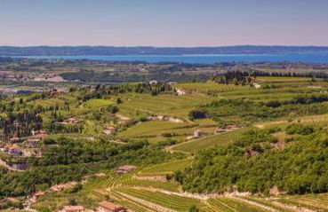 Magnolia Country House - Foto 66