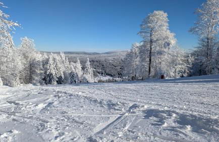 Apartmán Almberg - Mitterdorf - Mitterfirmiansrout - Foto 34