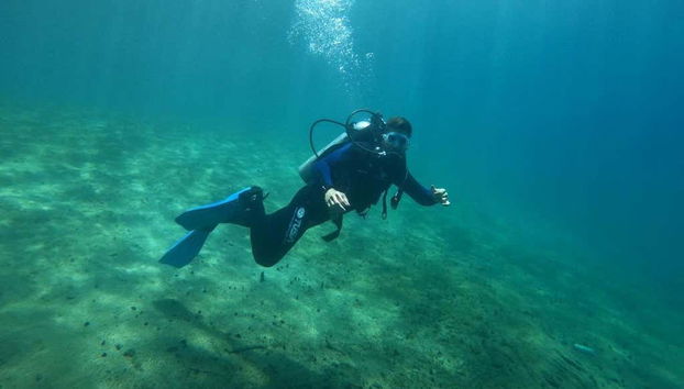 Diving in Correntoso Lake - Foto 2