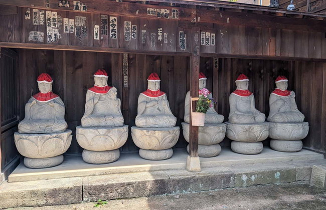 Visita guidata di Takayama - Foto 7