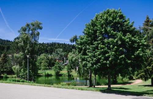 Ferienwohnung "Am Skilift" - Foto 24