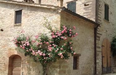 Mulino Della Ricavata - Foto 26