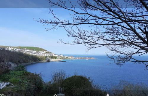 Newquay Haven caravan 42x14 with Ocean Views - Foto 76