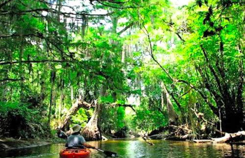 Upcycled Shipping Containers Transformed into a Glamping Home for a Unique Florida Vacation - Foto 41