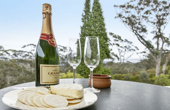 Toria Views - Foto 17