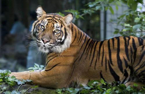 LaCartePostale - Foto 25