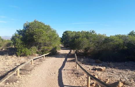 SPANISH SUN - 500 m from the beach - Foto 27