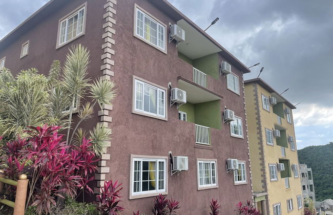 Pirate Palms - Foto 39