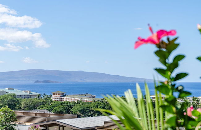 Upscale and Elegant Vistas - Foto 38