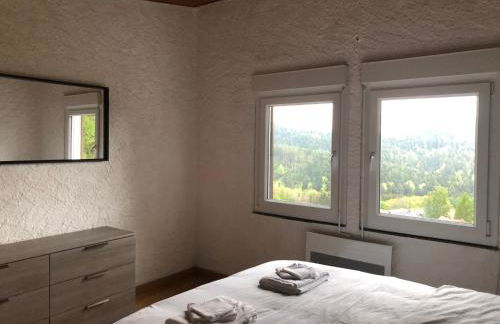 LA PETITE MESANGE - Photo 13