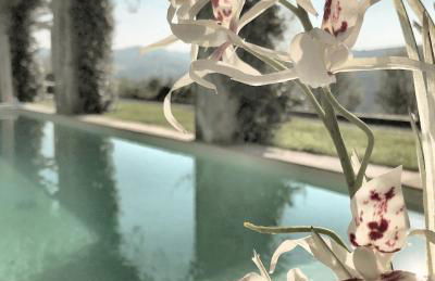 Ca' del Sasso by il Sassoscritto - Foto 13