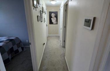 The Quiet Grove - Foto 7