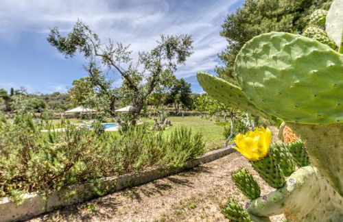 BioMasseria Santa Lucia - Foto 16